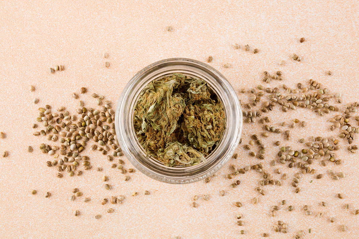 Cannabis Seeds: The Untapped Business Goldmine in Canada