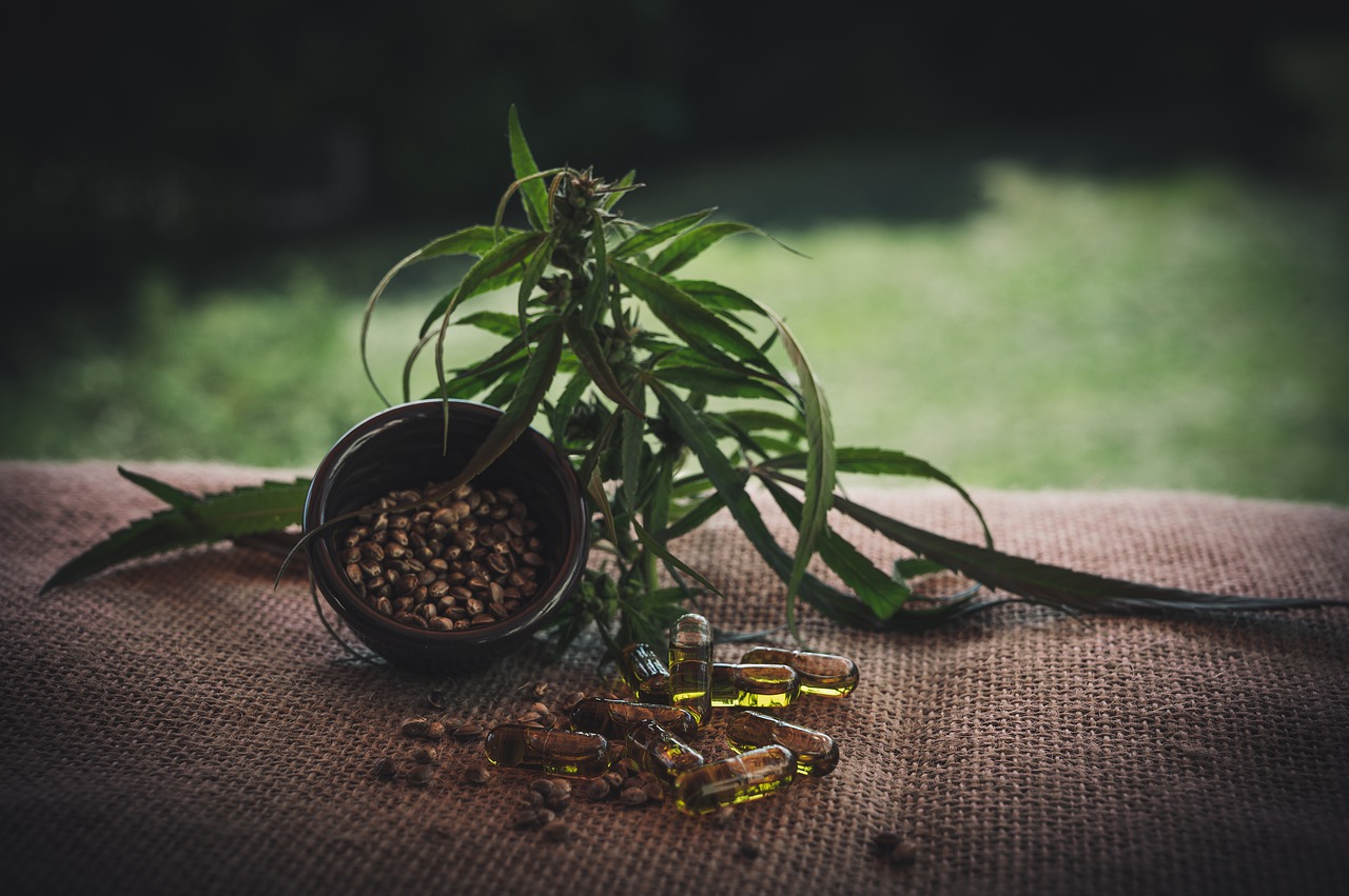 How to Select the Best CBD Cannabis Seeds to Sell in your Store